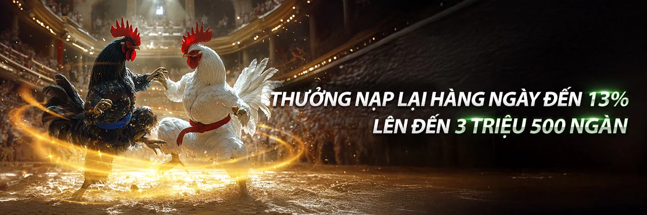 Đá Gà E88 - Sân Đấu Gà Trực Tuyến